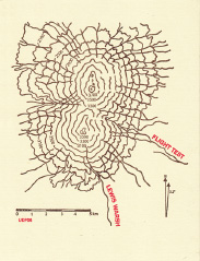 Flight Test. Lewis Warsh